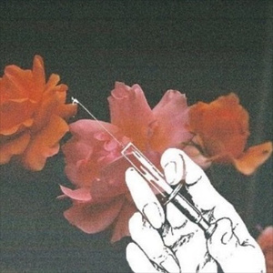 东北妓女勾引老头操…一
